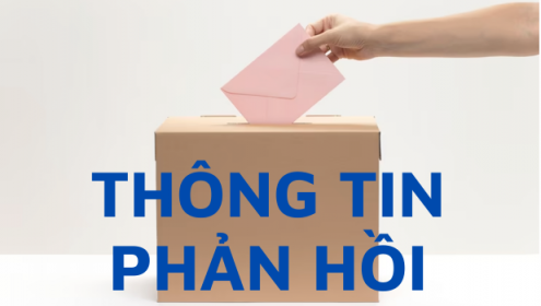 Cục Thi hành án dân sự Bình Thuận phản hồi lý do chưa thi hành án 1 vụ lừa đảo