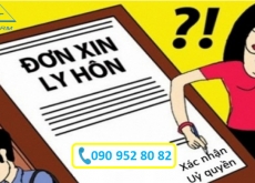 CÓ ĐƯỢC LY HÔN KHÔNG KHI VỢ/CHỒNG MẤT NĂNG LỰC HÀNH VI DÂN SỰ?