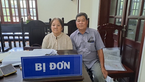 Mở lại phiên tòa sau 1 tháng thu thập thêm chứng cứ