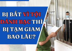 Bị bắt vì tội đánh bạc thì bị tạm giam bao lâu?