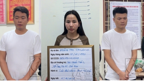 3 người giả danh cán bộ Cục Cảnh sát Hình sự để lừa tiền tỉ