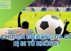 CHƠI CÁ ĐỘ BÓNG ĐÁ CÓ BỊ ĐI TÙ KHÔNG?