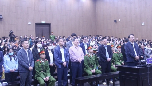 Vụ Tân Hoàng Minh: Nên ưu tiên giải quyết sớm quyền lợi cho bị hại