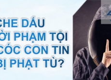 CHE DẤU NGƯỜI PHẠM TỘI BẮT CÓC CÓ BỊ TRUY CỨU TRÁCH NHIỆM HÌNH SỰ KHÔNG?