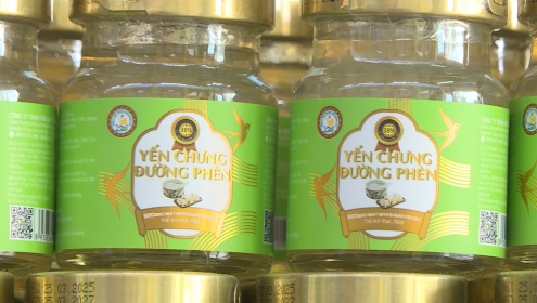 Phú Thọ: Chuyển công an điều tra vụ hơn 23.000 lọ yến chưng giả