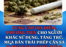 CUNG CẤP ĐỊA ĐIỂM, PHƯƠNG TIỆN CHO NGƯỜI KHÁC SỬ DỤNG, TÀNG TRỮ, MUA BÁN TRÁI PHÉP CẦN SA BỊ PHẠT BAO NHIÊU TIỀN?