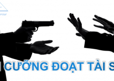 TỔ CHỨC CƯỠNG ĐOẠT TÀI SẢN BỊ PHẠT BAO NHIÊU NĂM TÙ?