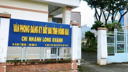 Vụ Hòa giải bất thành, phường vẫn xác nhận đất không tranh chấp Cấp sổ hồng sai quy định