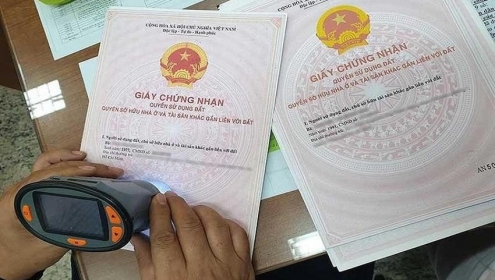Rút kinh nghiệm một vụ án tranh chấp hợp đồng chuyển nhượng quyền sử dụng đất