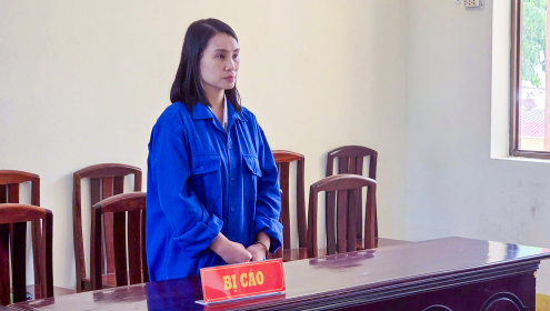 Sinh liền 5 con để được hoãn thi hành án, ở ngoài tiếp tục đi lừa đảo