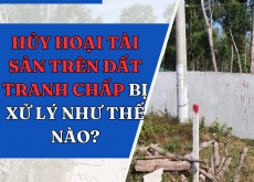 Hủy hoại tài sản trên đất tranh chấp bị xử lý như thế nào?