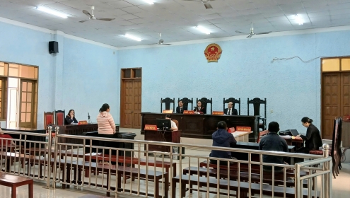 Lén trộm lại xe sau khi thế chấp, người phụ nữ bị phạt 12 năm tù