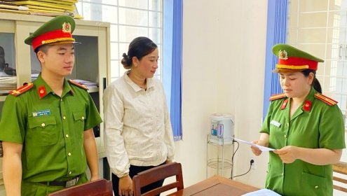 Khởi tố nữ giám đốc công ty trốn thuế