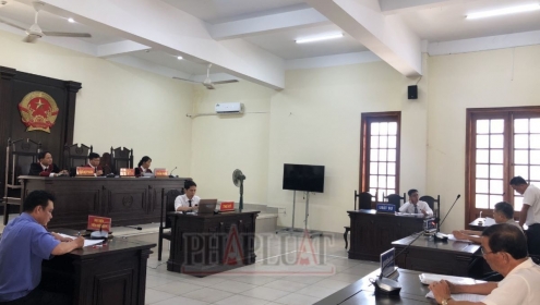 Cơ quan thi hành án phải bồi thường sau 23 năm bán đấu giá mà không giao tài sản