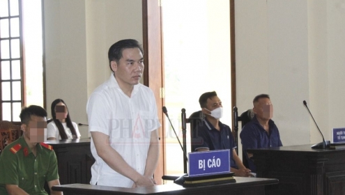1 bị hại ở vụ lừa tráo sổ đỏ thành bị cáo trong vụ lừa ngân hàng hơn chục tỉ
