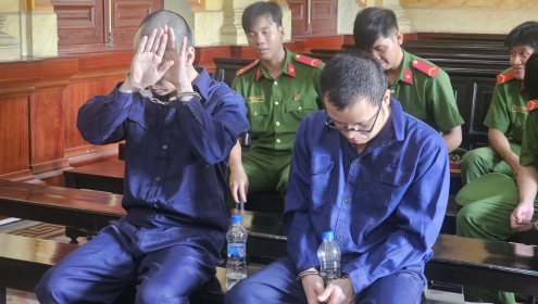 Môi giới cho gái đi tour với khách từ 30-50 triệu đồng/ngày