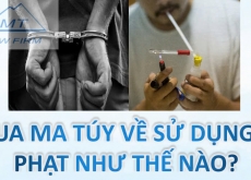 Mua ma túy về sử dụng bị phạt như thế nào?