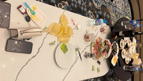 2 nữ công an có mặt trong tiệc ma túy ở Hải Phòng