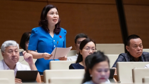 Đại biểu đề xuất tăng mức phạt vi phạm giao thông lên 200 triệu đồng