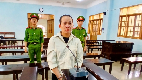 Nữ kế toán trường mầm non lừa đảo hơn 1,5 tỉ đồng