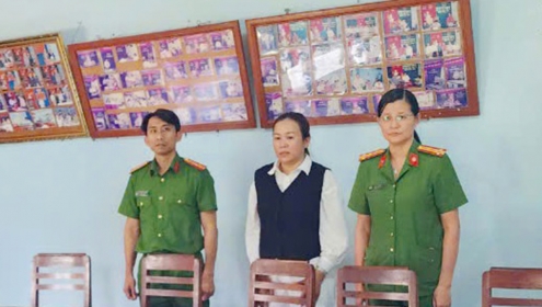 Khởi tố nữ kế toán lấy 200 triệu của công ty lâm nghiệp sử dụng cá nhân