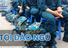 ĐÀO NGŨ CÓ BỊ TRUY CỨU TRÁCH NHIỆM HÌNH SỰ?