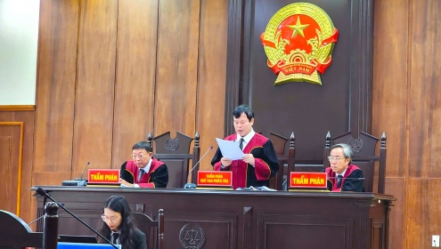 Nữ đại gia bất động sản ở Đà Nẵng rút đơn kháng cáo, chấp nhận án chung thân