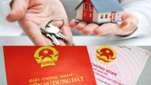 Công chứng viên chỉ ra 2 lỗi thường gặp khi bảo quản sổ hồng