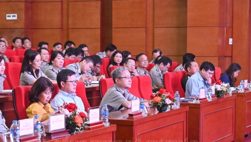 Thị trường bất động sản trầm lắng, tài sản thi hành án khó xử lý