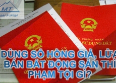 Dùng sổ hồng giả, lừa bán bất động sản thì phạm tội gì?