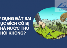 SỬ DỤNG ĐẤT SAI MỤC ĐÍCH CÓ BỊ NHÀ NƯỚC THU HỒI KHÔNG