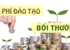 Bồi thường chi phí đào tạo khi người lao động nghỉ việc