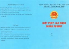 Điều kiện cấp giấy phép hoạt động cho thuê lại lao động
