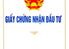 Thủ tục chuyển đổi giấy chứng nhận đăng ký đầu tư sang giấy chứng nhận đăng ký doanh nghiệp