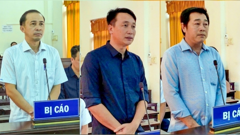 Cựu Phó Chủ tịch xã ở TP Phú Quốc và 2 đồng phạm lãnh án vì cấp đất sai quy định