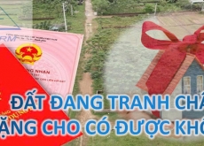 Đất đang tranh chấp: tặng cho có được không? Giải đáp ngay!