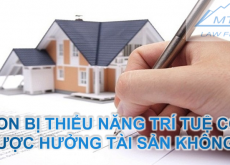 CON BỊ THIỂU NĂNG TRÍ TUỆ CÓ ĐƯỢC HƯỞNG TÀI SẢN KHÔNG?