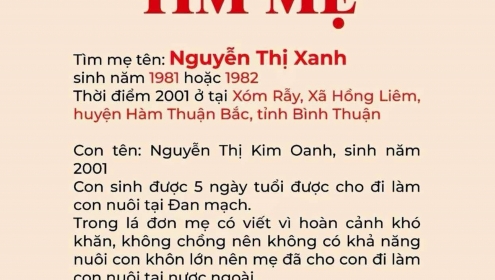 Chưa đầy 1 giờ đăng lên Facebook, cô gái Đan Mạch đã tìm được mẹ ruột người Việt Nam sau 23 năm
