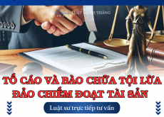 Tố giác và bào chữa tội lừa đảo chiếm đoạt tài sản – Luật Mạnh Thăng hỗ trợ từ a đến z