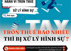 TRỐN THUẾ BAO NHIÊU THÌ BỊ XỬ LÝ HÌNH SỰ THEO QUY ĐỊNH CỦA PHÁP LUẬT