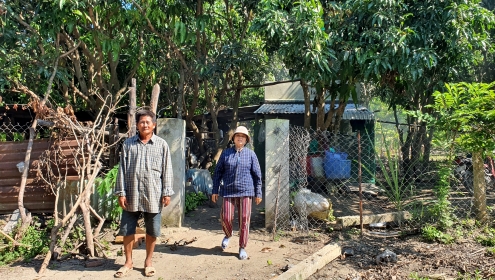 Tòa tuyên hủy 2 sổ hồng vụ đất ở hơn 20 năm bị cấp cho người khác