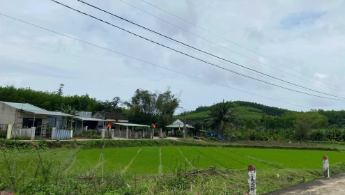 Chuyên gia nêu lưu ý quan trọng khi ký hợp đồng ủy quyền trong giao dịch nhà đất