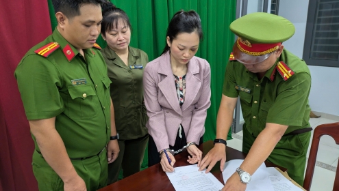 Từ vụ bà chủ nha khoa Tuyết Chinh: Thế nào là gây rối trật tự công cộng?